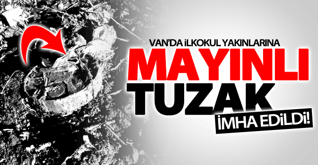 Van'da facia ramak kala! İlkokulun yakınına yerleştirilen mayın imha edildi