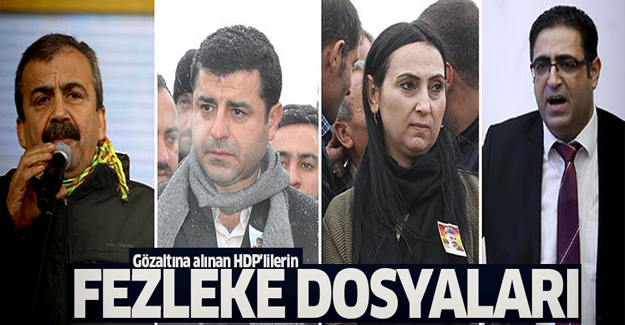 Gözaltına alınan HDP'lilerin dosyalarında neler var?