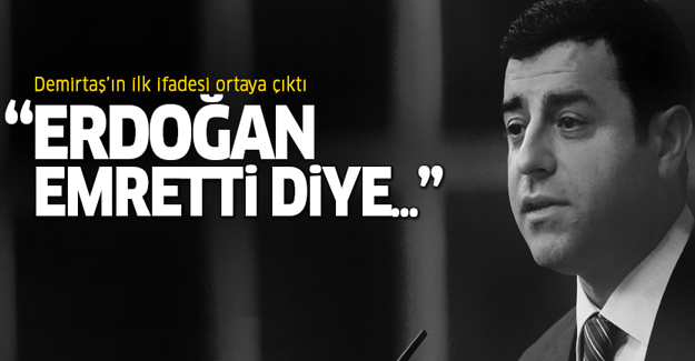 Selahattin Demirtaş'ın ilk ifadesi