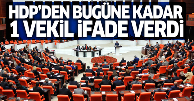 HDP'den bugüne kadar sadece bir kişi ifade verdi