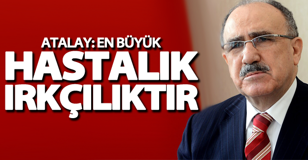 Van Milletvekili Atalay: "En büyük hastalık ırkçılıktır"