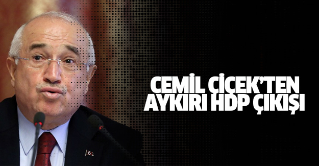 AK Parti’li Cemil Çiçek'ten aykırı HDP çıkışı