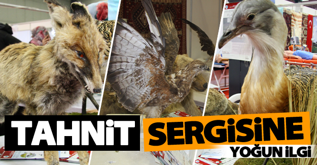 Van'da tahnit sergisine yoğun ilgi