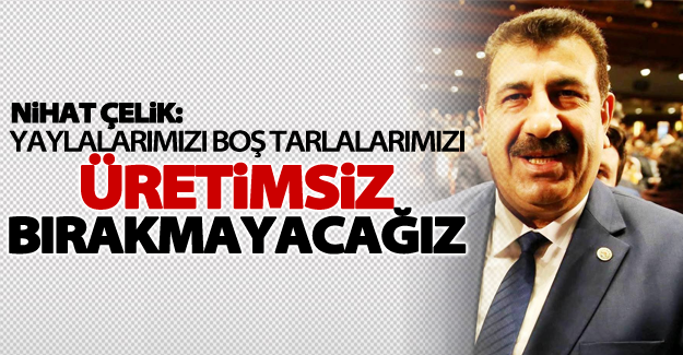 Nihat Çelik: “Yaylalarımızı boş, tarlalarımızı üretimsiz bırakmayacağız’’