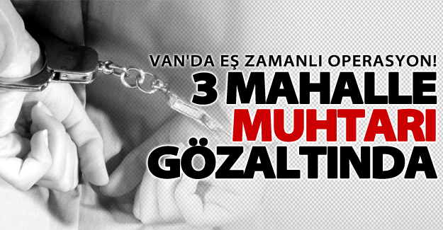 SON DAKİKA! Van’da 3 mahalle muhtarı gözaltına alındı