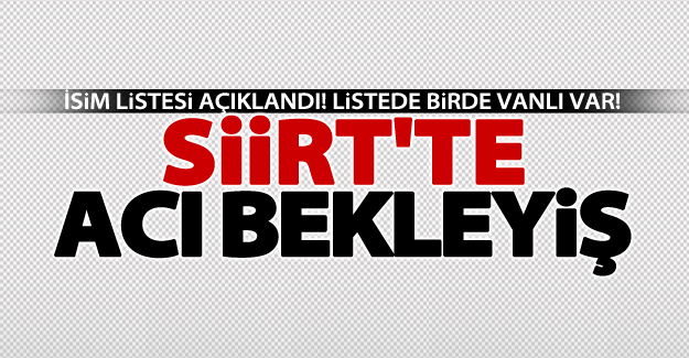 Siirt'te göçük altında kalan işçilerden biri Vanlı!