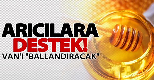 Arıcılara destek! Van'ı "Ballandıracak"