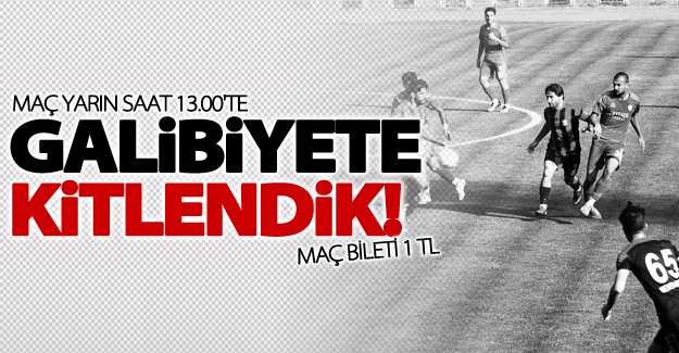 Van Büyükşehir Belediyespor galibiyete kitlendi