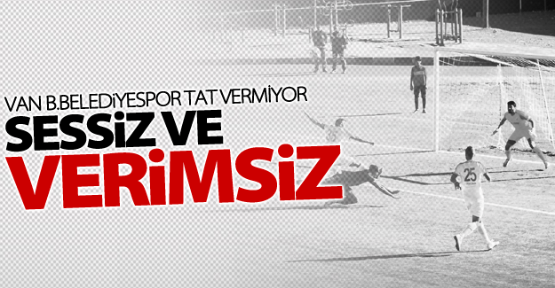 Van Büyükşehir Belediyespor sessiz ve verimsiz!