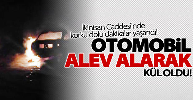 Van'da park halindeki otomobil alev alarak yandı
