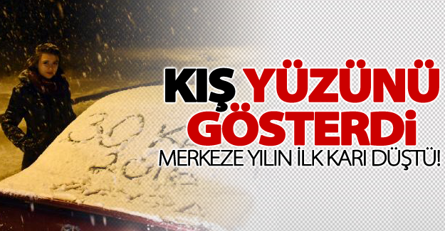 Van'da kar yağışı başladı
