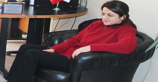 AK PARTİLİ VEKİLDEN BDP’YE TEPKİ - VAN HABERLERİ