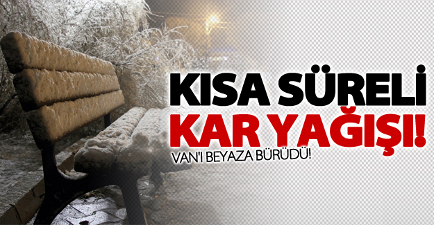 Van'da dün gece kar yağışı etkili oldu