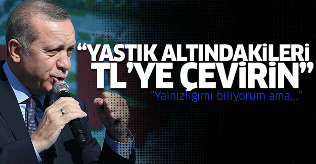 Erdoğan: Yastık altındakileri TL'ye çevirin