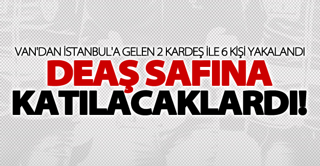 IŞİD'e katılmak için Van'dan İstanbul'a gelen 2 kardeş ile 6 kişi yakalandı
