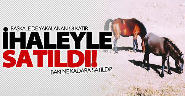 Van'da yakalanan katırlar ihaleyle bakın ne kadara satıldı?