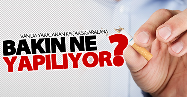 Van'da yakalanan kaçak sigaralar bakın ne yapılıyor?