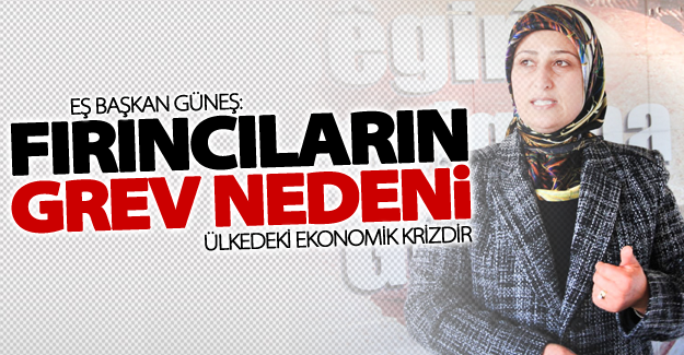 Eş Başkan Güneş: Fırıncıların grev nedeni, ülkedeki ekonomik krizdir