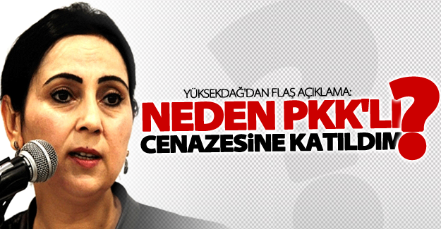 Van Milletvekili Yüksekdağ'dan flaş açıklama!