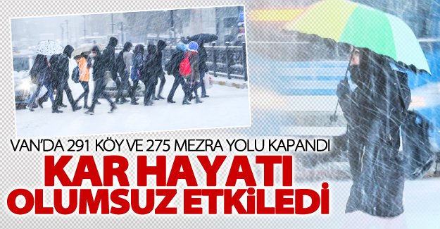 Van'da ulaşıma kar engeli! 291 köy ve 275 mezraya yolu kapandı