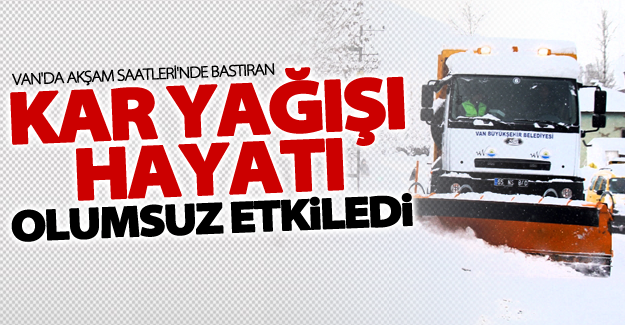Van'da yoğun kar yağışı hayatı olumsuz etkiledi