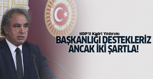 HDP: Başkanlık sistemini destekleriz, ancak iki şartla!