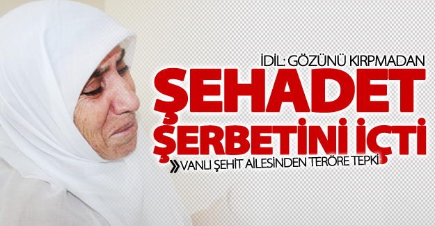 Vanlı şehit ailesinden teröre tepki