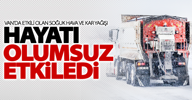 Van'da etkili kar yağışı hayatı olumsuz etkiledi