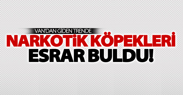 Van'dan giden trende narkotik köpekleri esrar buldu