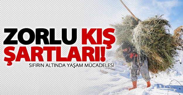 Van'da kış şartları hayatı zorlaştırıyor