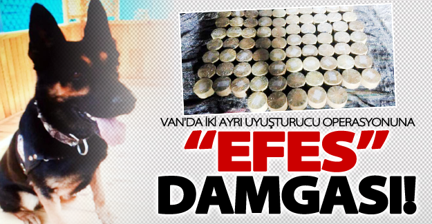 Van'da iki ayrı uyuşturucu operasyonuna Efes köpeği damgası