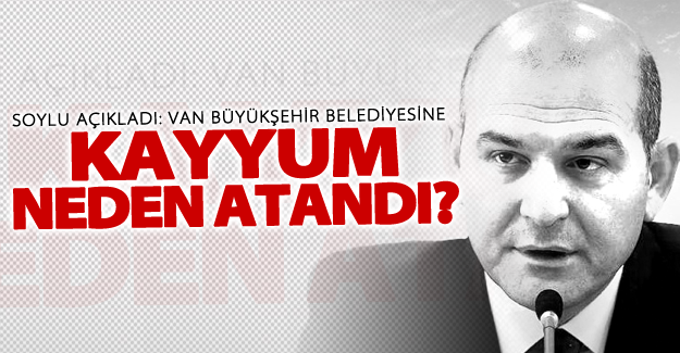 Soylu'dan Van Büyükşehir Belediyesi hakkında flaş açıklama!