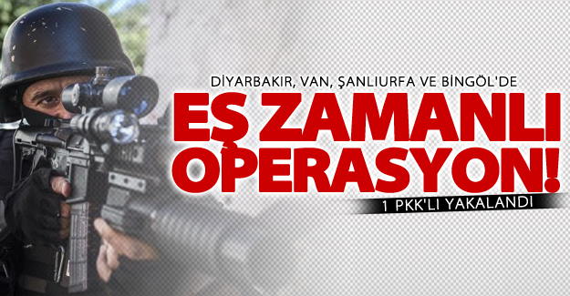 Van dahil 4 ilde eş zamanlı operasyon!