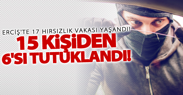 Erciş'te 17 hırsızlık vakası! 15 kişiden 6'sı tutuklandı