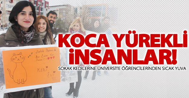 Sokak kedilerine üniversite öğrencilerinden sıcak yuva