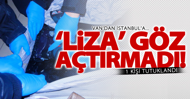 Van'da kargo firmasına operasyon! 1 kişi tutuklandı