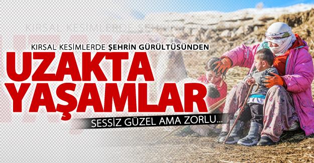 Şehrin gürültüsünden uzakta yaşamlar