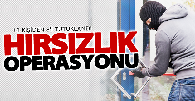 Van'daki hırsızlık operasyonu! 13 kişiden 8'i tutuklandı
