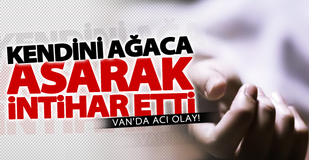 Van'da acı olay! Kendini ağaca asarak intihar etti