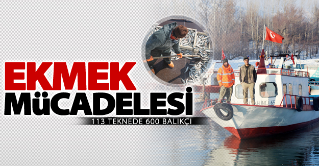 Van Gölü'nde "ekmek mücadelesi"