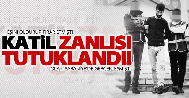 Van'da eşini öldüren zanlı tutuklandı