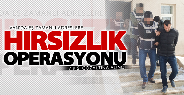 Van'da hırsızlık operasyonu! 7 gözaltı