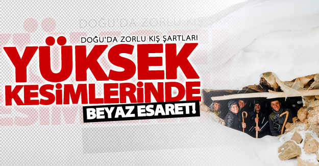 Van'ın yüksek kesimlerinde beyaz esaret