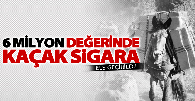 Van'da 6 milyon 600 bin TL değerinde kaçak sigara ele geçirildi