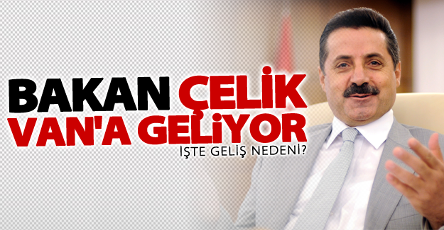 Bakan Çelik Van'a geliyor