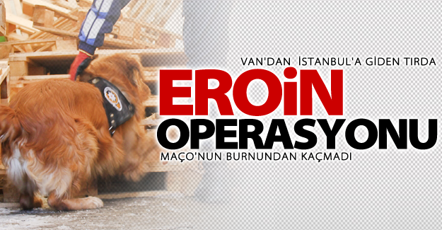 Van'dan İstanbul'a uzanan operasyon!
