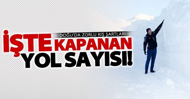 Van'da 94 mahalle ve 119 mezra'nın yolu ulaşıma kapandı