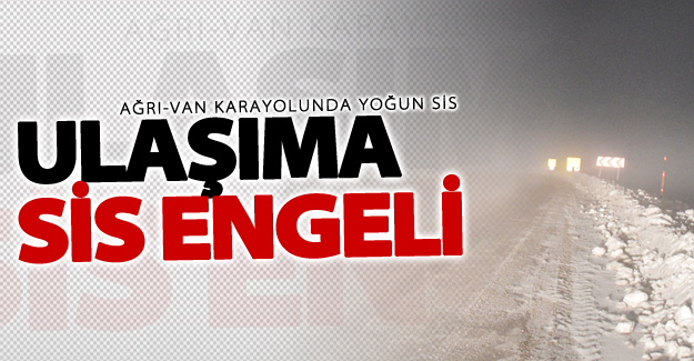 Ağrı-Van karayolunda yoğun sis ulaşımı olumsuz etkiledi