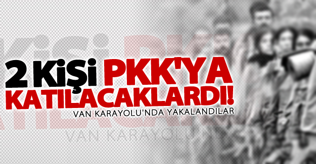 PKK'ya katılacaklardı! Van-Hakkari karayolu'nda yakalandılar