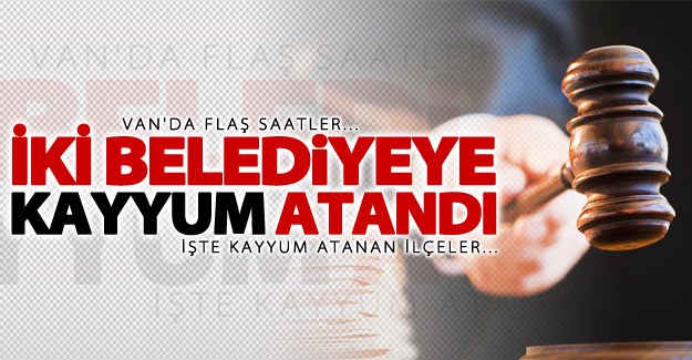 SON DAKİKA! Van'da 2 ilçeye daha kayyum atandı!